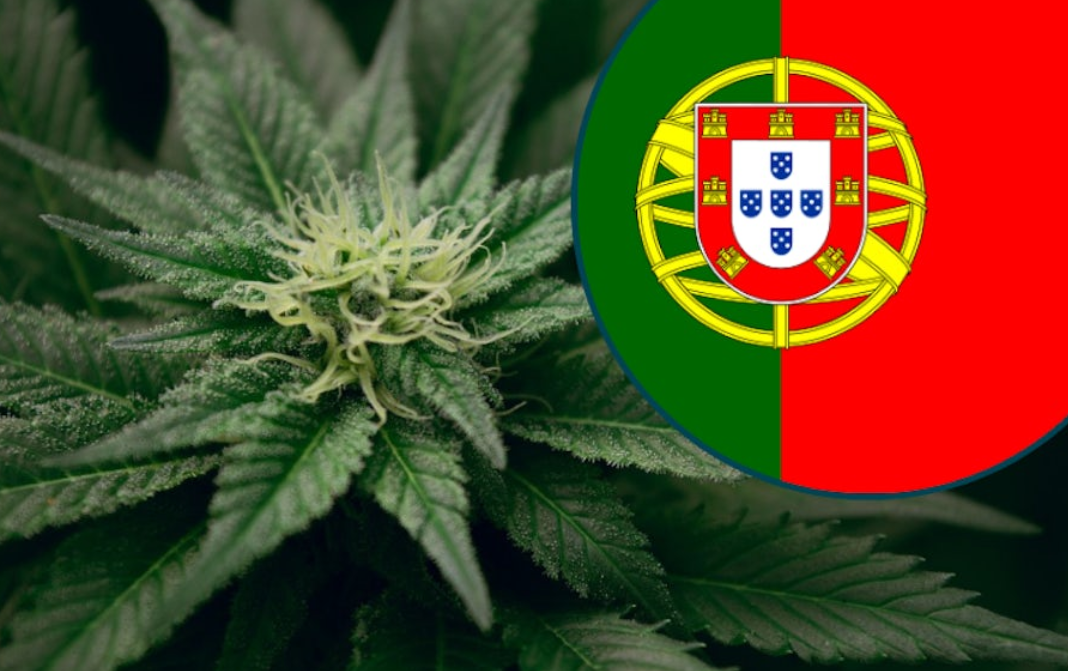 Buy Weed Online Portugal
